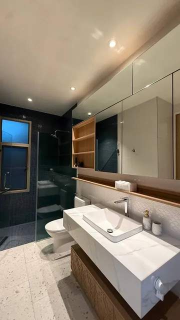 The master bathroom: vanity and walk-in shower