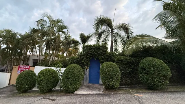 The house from the street: the pedestrian entrance in the hedge